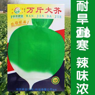 �f�����˷N�Ӵ��^�ˈA�^���������������ե���r���߲˷N��