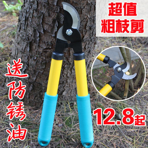 强力粗枝剪省力修剪树枝果树园艺修枝剪大剪刀园林伸缩大力剪