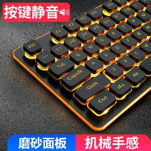 Silent Keyboard Feel Computer Notebook Office E-Sports Chocolate Luminous Mechanical Mouse Wired Game Langtu