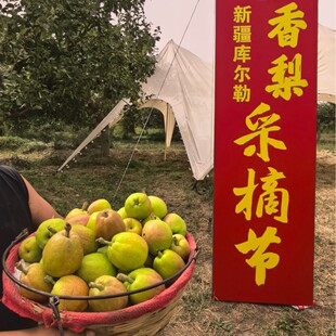 �����½��젖�����殔�����rˮ�������ӱ�Ƥһ����ĸ��ֱ�l