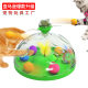 Pet Supplies Factory Wholesale Company New Explosive Amazon Funny Cat Treasure Box Cat Windmill Mint Toy