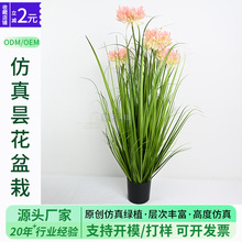 bٻc÷滨 Gֲ҃컨һ