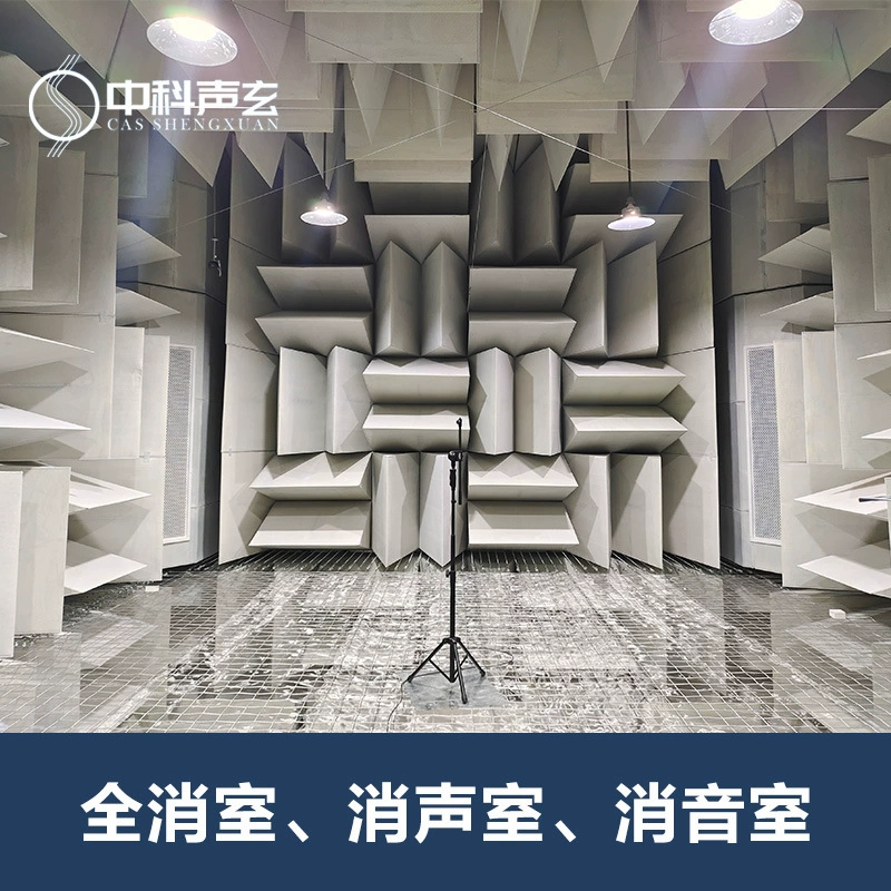 Глушающая комната полная тихая комната Акустическая лаборатория Автомобильный двигатель Обнаружение шума Идентификация ненормального шума
