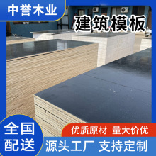 �S�ҽ��Bģ�幤��֧ģľ�����z�ϰ�1220x2440���،���