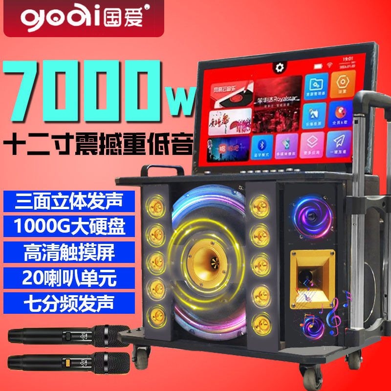 Guoai G9 屋外カラオケオーディオスクエアダンススピーカーディスプレイ付きホーム KTV セットカラオケオールインワン|undefined