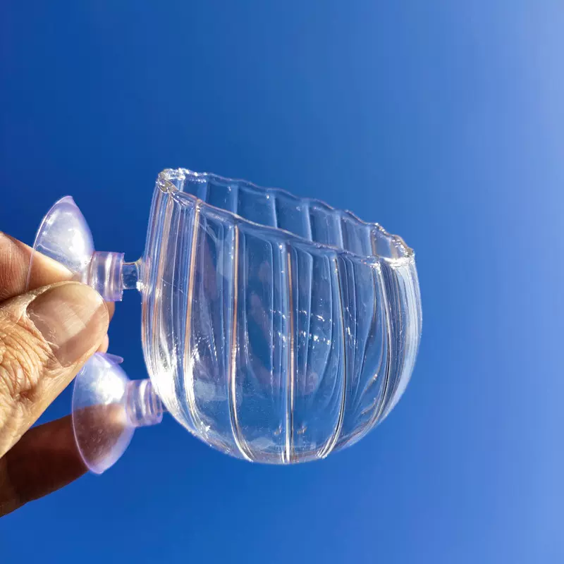 水晶玻璃水草杯造景杯带吸盘造景盆饲育杯水草盆水草泥鱼缸水草缸
