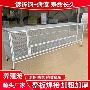 ƽ��u���û\���܈A�׷����S���ǉT�ӼӺ�ɲ�ж�u�\�Ӽ����Bֳ�\