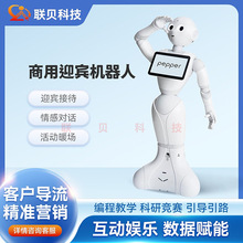 Pepper�C���˸߼������η��ՙC�������Č�Ԓ���g�̄սӴ��v�����