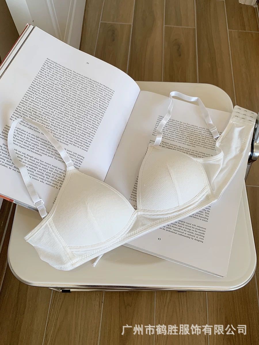 Venta directa de fábrica comercio electrónico transfronterizo Sudeste de Asia Vietnam Tailandia damas sin costuras sujetador de recogida lateral cómodo