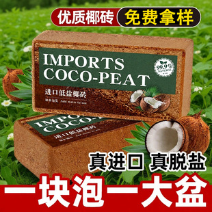 �S��ֱ�NҬ�u�I�B���B��ͨ����Ҭ��ֲ��N������Ó�}����Nֲ����