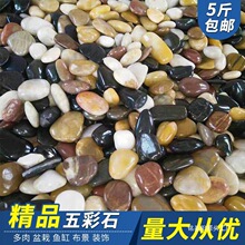 雨花石抛光鹅卵石天然 五彩石园艺黑白黄红石子原产地E18