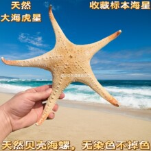 ��Ȼ���� ��������� �zӰ����С�Y��Ҿӵ�̨�N���b�Ʒ����[��