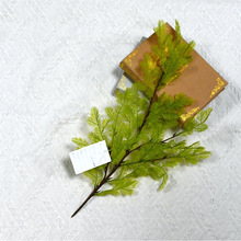 ����ֲ��ϵ�з���ˮɼ4达Gɫɭϵ�����ƺ��Y�bٻ�����Gֲ