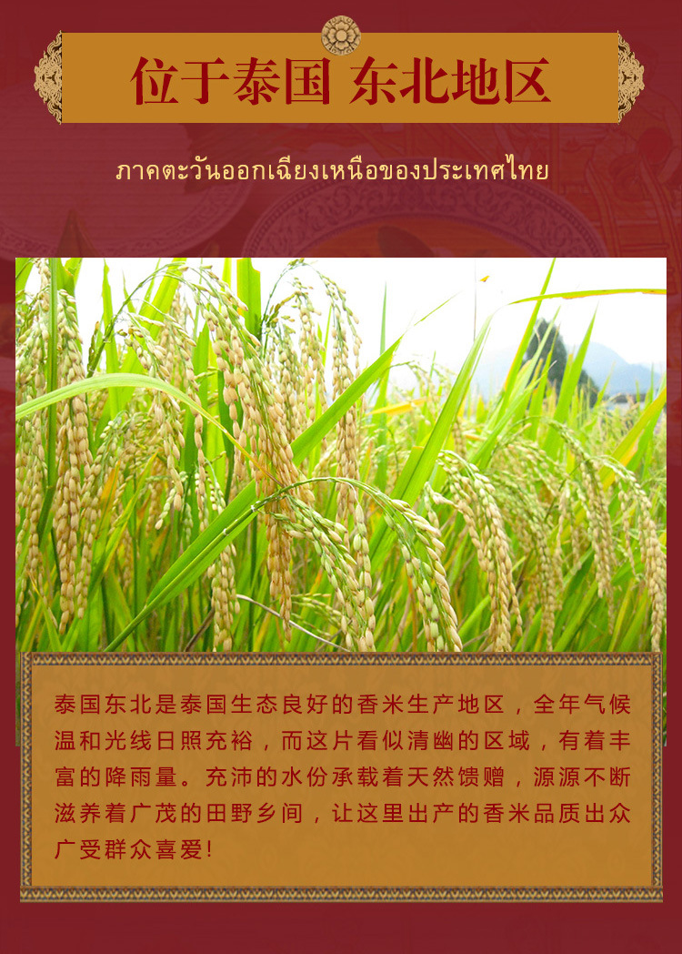 茉莉香米500g_05.jpg