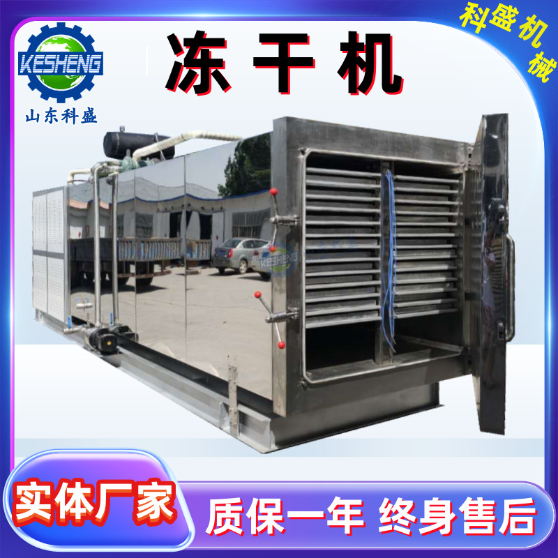 草莓柠檬玫瑰花茶片冻干机真空冷冻干燥设备海鲜肉制品真空冻干机