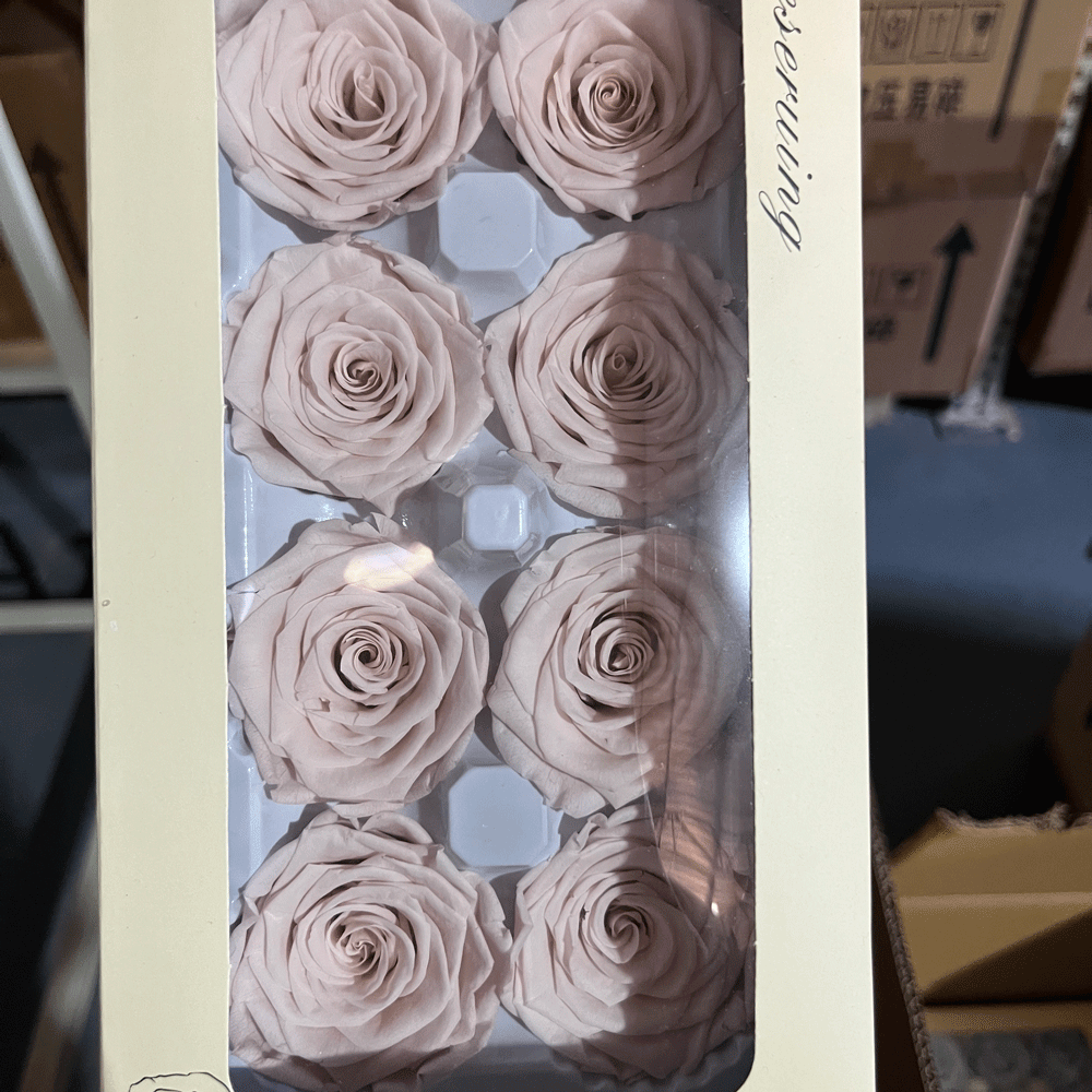 Cabeza de Rosa Preservada B+, 4-5 cm, Regalo para el Día de San Valentín Chino, Ramo de Flores Preservadas al por Mayor, Flores Secas para DIY, 520