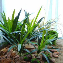 ���m�~�����z�m���~���L�l�G�~�ݿ����Ͳ廨��ļҾ�ܛ�b�쾰