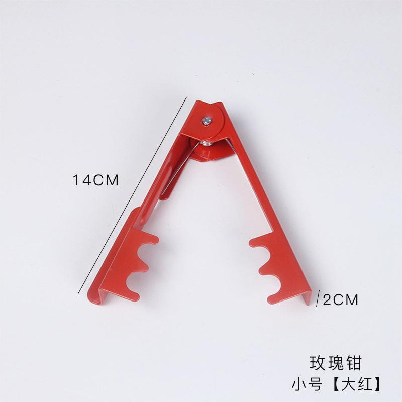 Espina alicates espina eliminación de espinas bolsa del Tesoro flor artefacto floristería suministros herramientas ramo de flores papel de embalaje venta al por mayor tienda de flores materiales