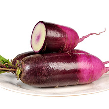 山东冰激凌水果萝卜紫皮萝卜包邮新鲜水果冰激凌萝卜一件代发