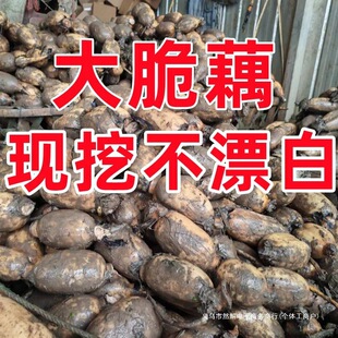 �F�ڬF�l������źɏź�峴�������r���಻Ư�ב���ʳ���r���ԷN