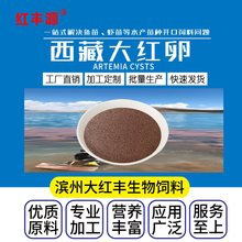 ���ش����С�����������ˮĸ���������κ�ˮ������ߵ���