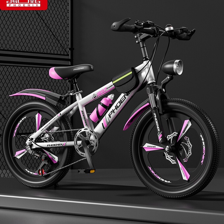 Children's Bicycle Girl Variable Speed Mountain Bike 6-10-12-15 Years Old Middle-Aged and Primary School Boy Bicycle