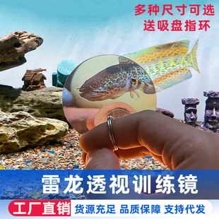 ����Ӗ��͸ҕ�R��������͸���R�Ӷ��~�_�h����ҧ�׶��~Ӗ������