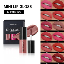 3֧�b���ⴽ��С�Ӳ���ճ��LAMUSELAND Matte Lipstick 3pcs gift