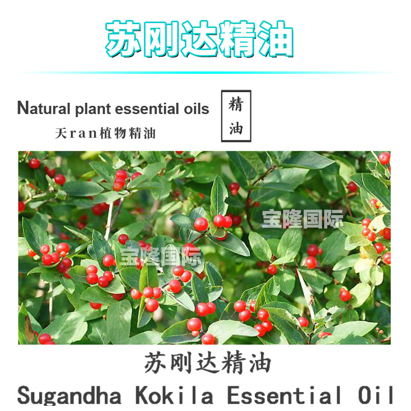 苏刚达精油 灰叶樟 单方精油 护肤 化妆品原料 10ml