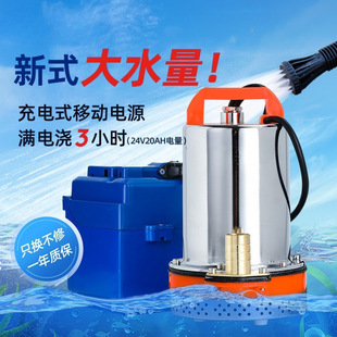 ��ˮ�ó��ʽˮ�ü��ó�ˮ����12v24v���ʻ��@��yʽ�����ˮ��