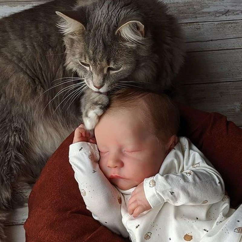 Muñeca renacida simulación juguetes para bebés muñecas de cuerpo completo para niños suaves 43cm vinilo transfronterizo