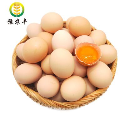 新鲜鸡蛋批发40枚土鸡蛋散养大个农村笨营养柴鸡蛋批发价20枚厂家|ru