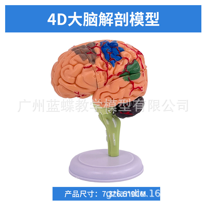 ��ģ���Թ�������ɫ��ģ�� ������Խ���ģ�� ���Զ�����������