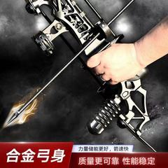 Crossbow arrow bow compound bow shooting sports professional archery set composite bow outdoor high-precision bow alloy weapon