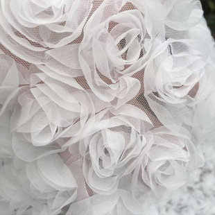 �S��ֱ�N �¿�ߙnõ���h������ �ٽz��߅�������w�����̽�����