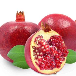 Pomegranate Seeds Bonsai Crystal Pomegranate Tree Seeds Fruit Seeds Sea Pomegranate Seeds All Year Round Sowing Fruit Seeds