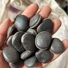 油麻藤种子牛马藤大血藤雀儿花四季常青爬藤类黑刀豆小平安豆