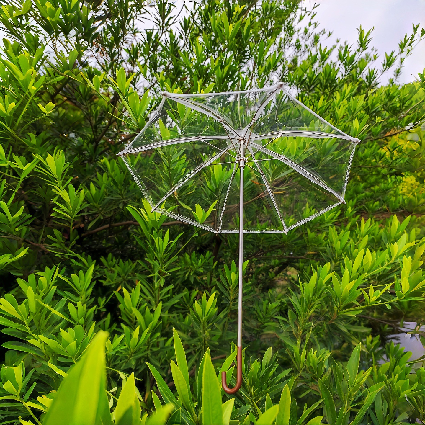 bjdɡ������4��͸�����մ����������Сɡ΢�������ɿ��������ɡ