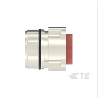 TE/̩�� CEGA270NN00000051000���ؿ��ŷ������� �ֻ� �������