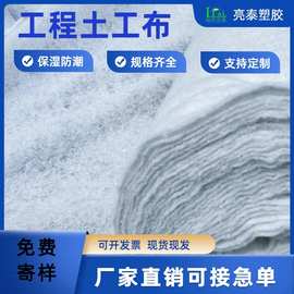 亮泰针刺聚酯涤纶短纤白色土工布针刺棉公路养护工程布排水过滤