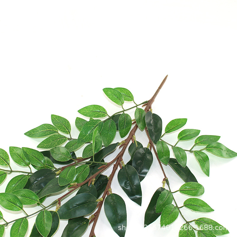 607b23f78fe11b3b902431463b0428