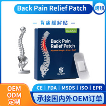 羳QBack Pain Relief PatchʹNi׵șNOEM