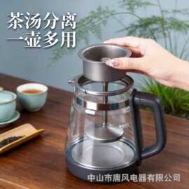 爆款99.9%高纯度纯钛煮茶器恒温烧水壶专用养生壶家用TF-108B