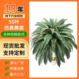 仿真绿植;仿真盆栽;仿真蕨类