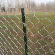 ������\䓽z�W�o�ںӵ����W���@�Nֲ����Ȧ��Ȧɽ�Bֳ߅�¹����W