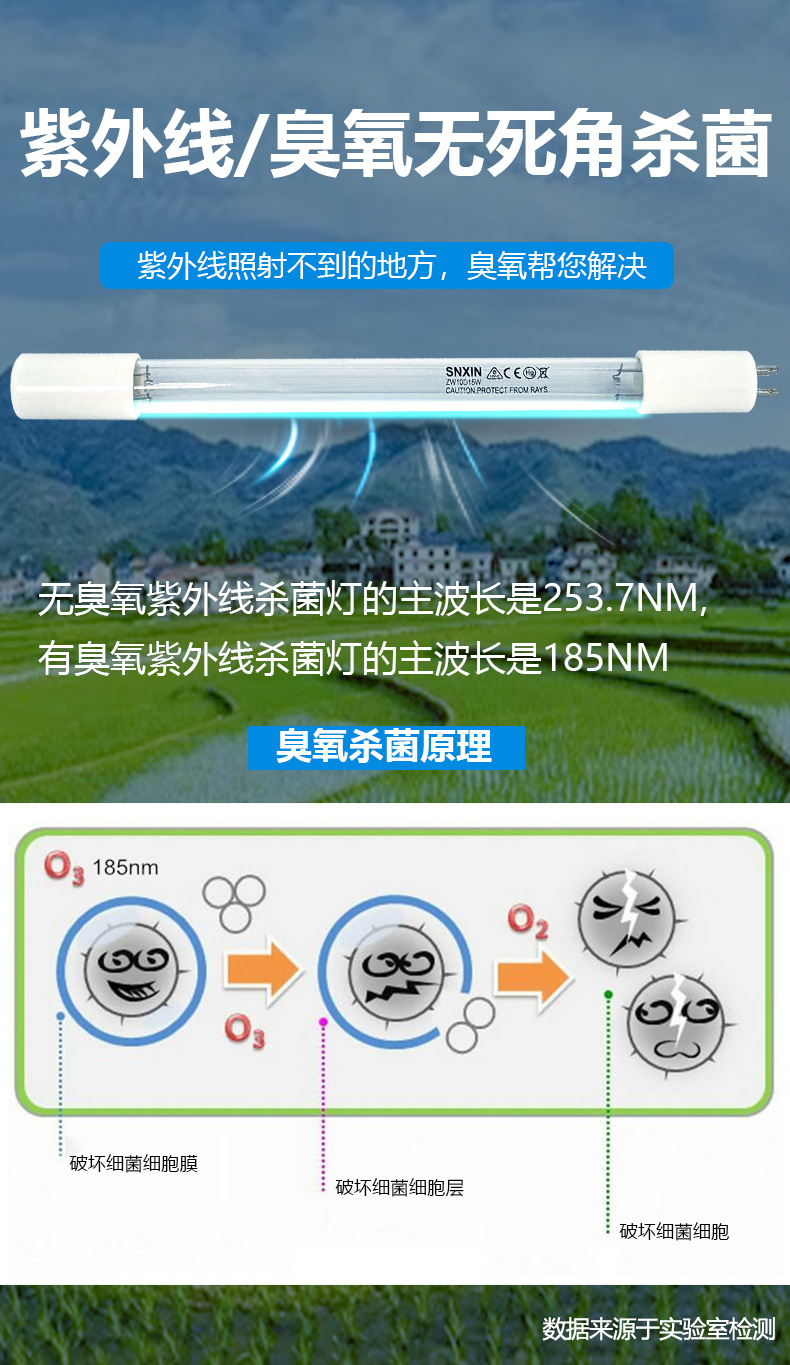 单端四针灯管_05