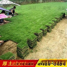 ���Ƥ��݄e��ͥԺ�G���R������̺���ͺ���ƺ���������̨������