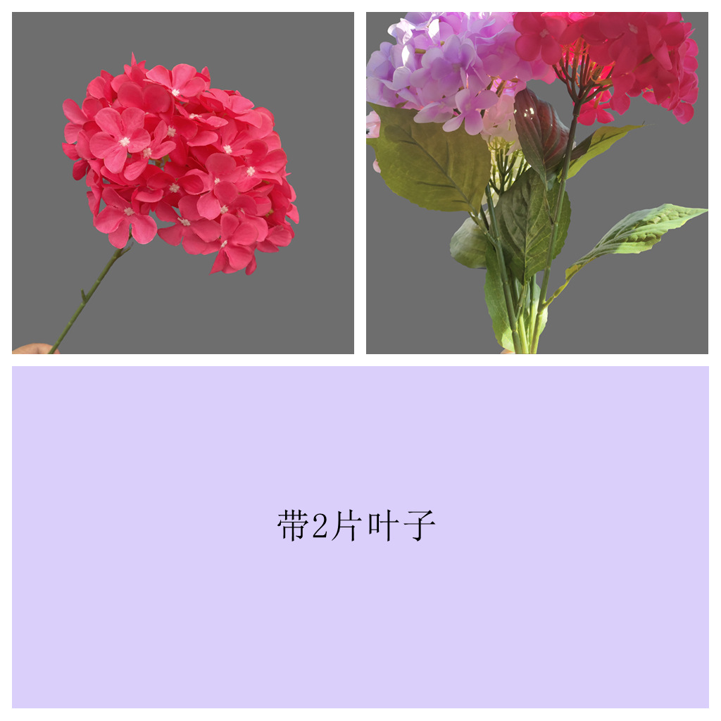 72개입 잎사귀 달린 핫핑크