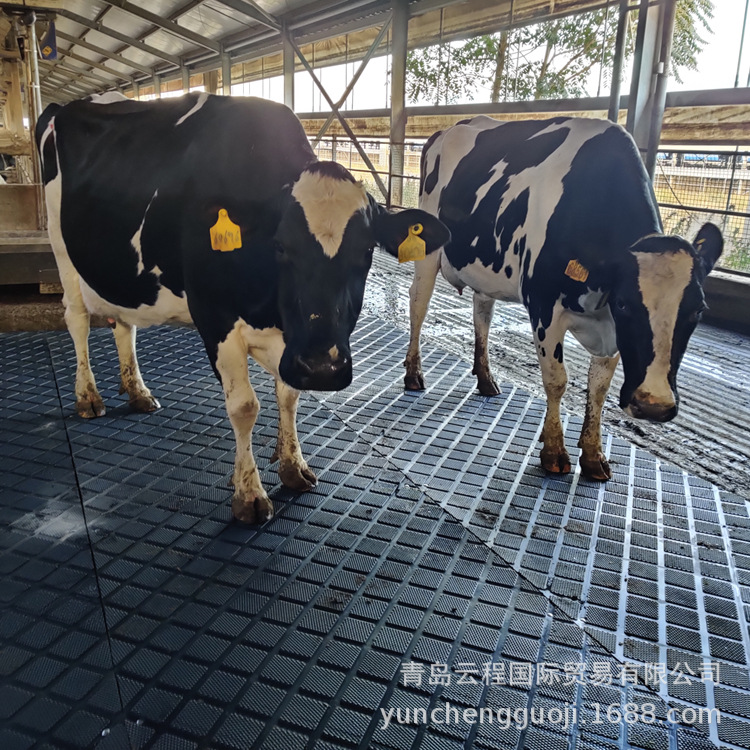 奶牛场方块纹牛棚垫 防滑菱形纹牛垫 耐磨耐用防滑垫子黑色