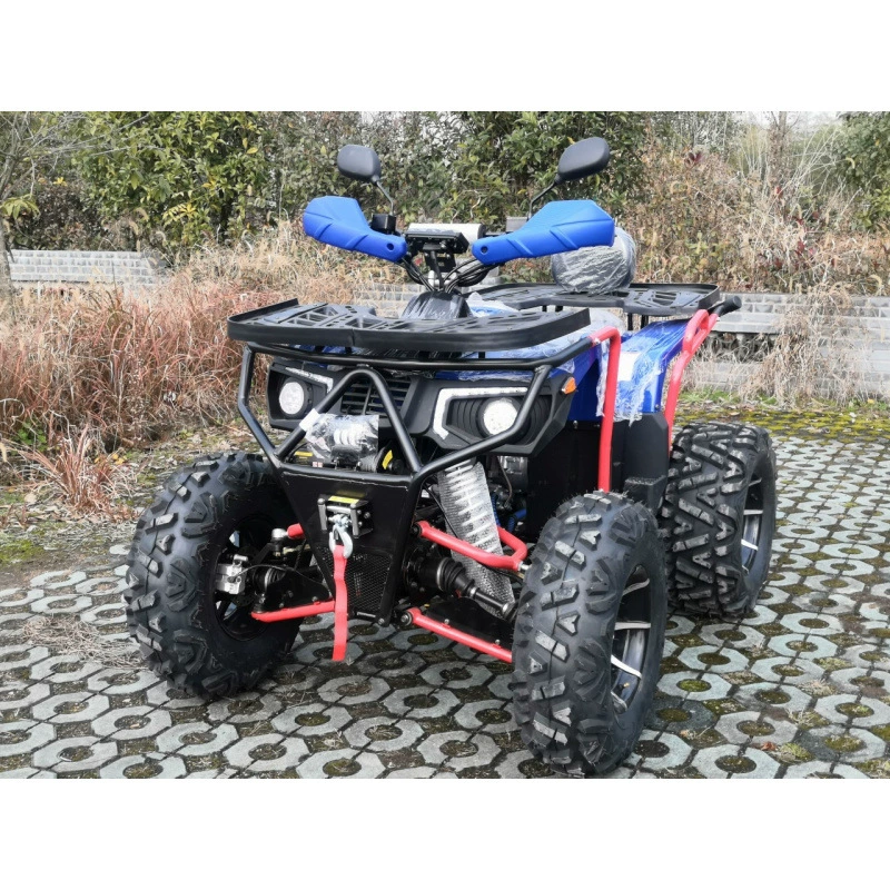 Arctic Day завод прямых продаж 400cc независимая подвеска трансмисс квадроциклы 4x4 двухместный внедорожный картинг